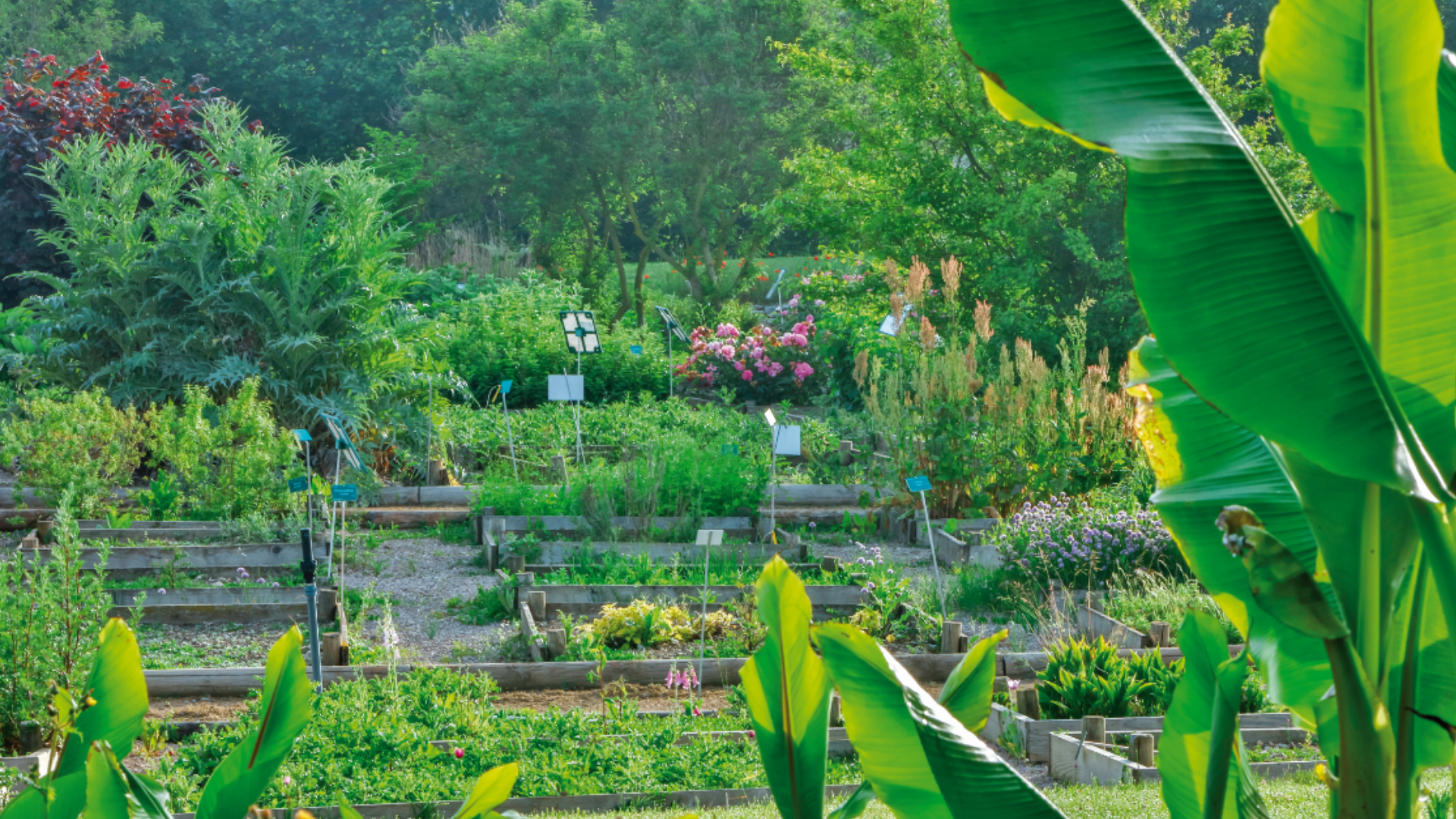 protéger biodiversité