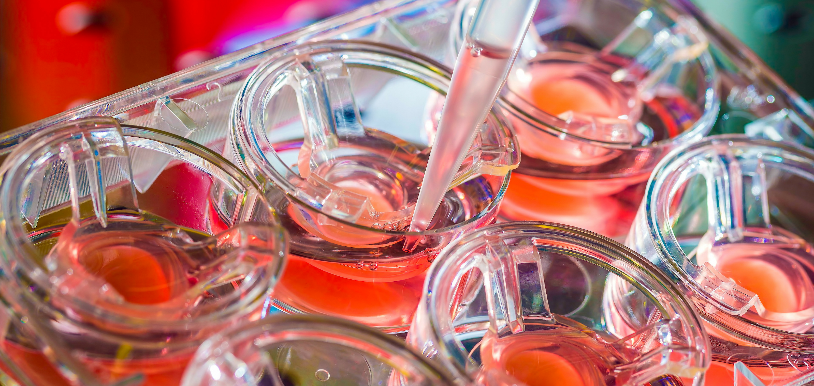 en tête innovation recherche oncopole