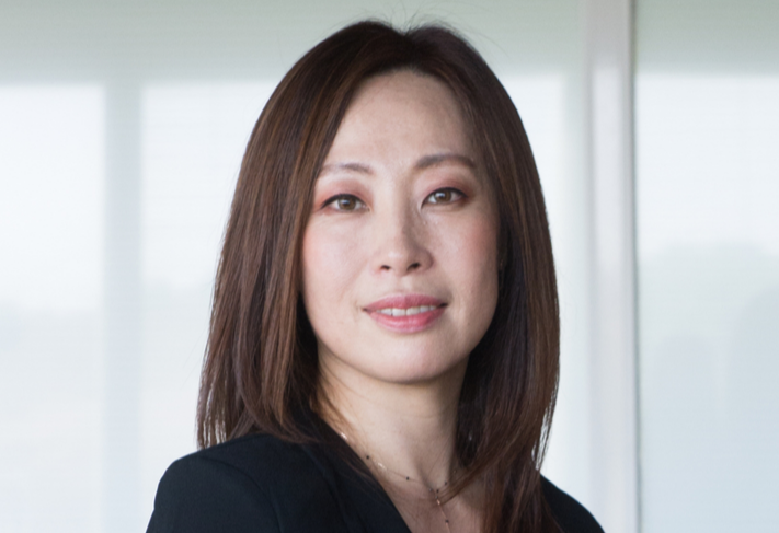 agnes park fond gris