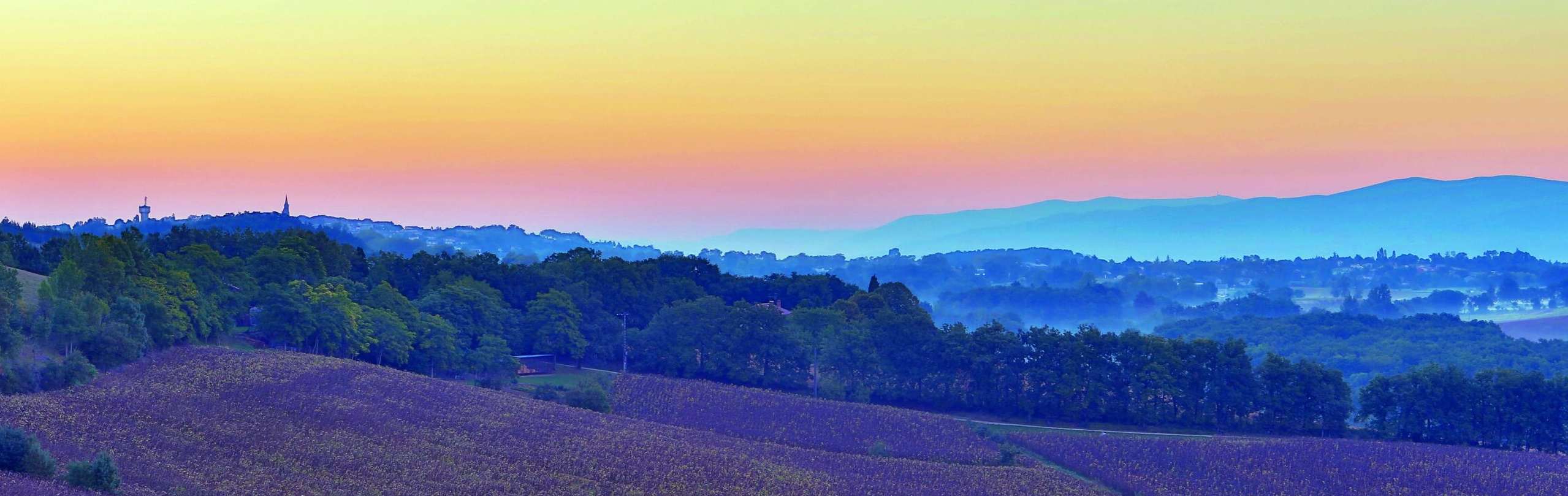 magnifique paysage nos racines Pierre Fabre