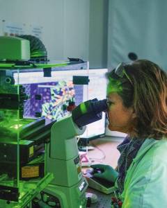 JP_FEMME_MICROSCOPE_LABO Women in a laboratory looking into a microscope