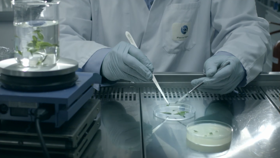 Pierre Fabre Research Development dermocosmetics
