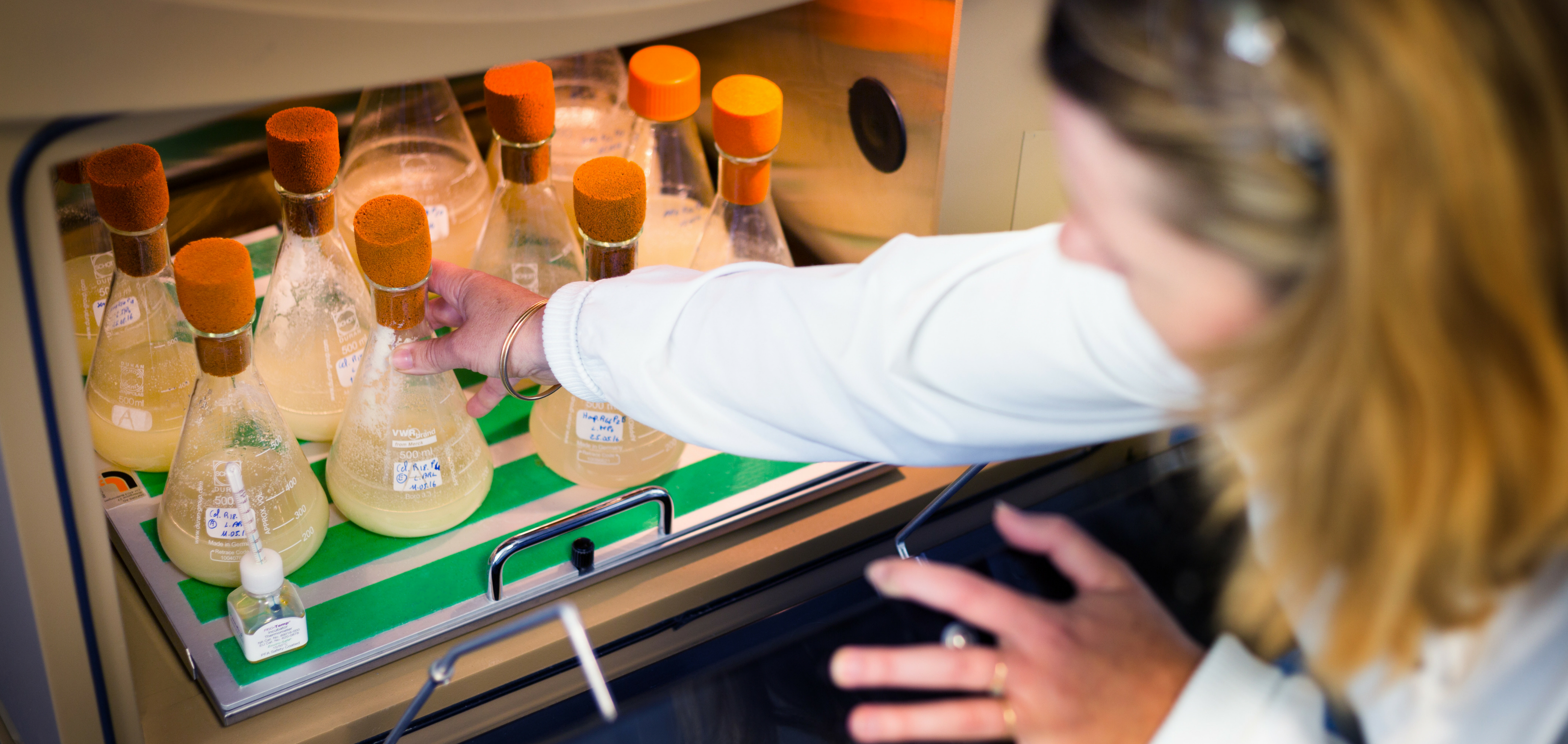 gaillac chercheur et fiole dans laboratoire