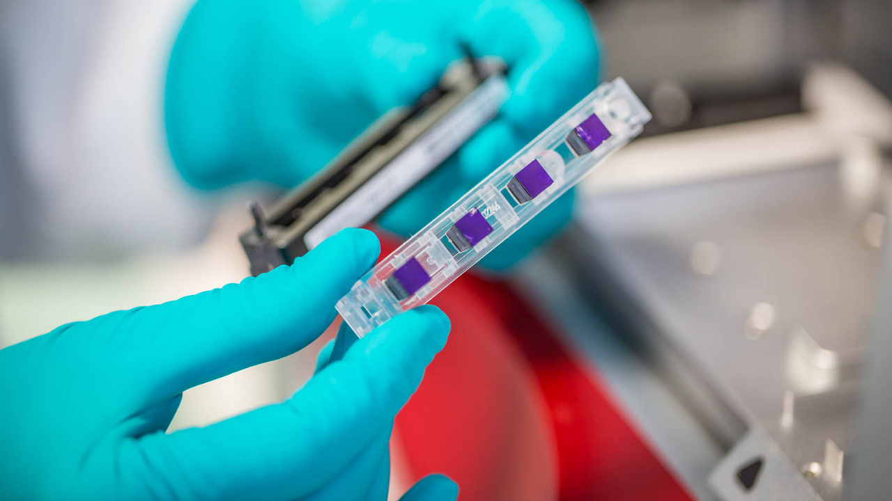 Pierre Fabre R&D Career