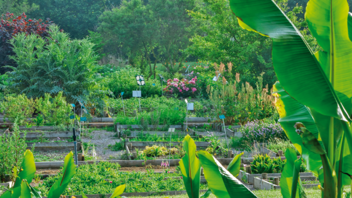 protéger biodiversité