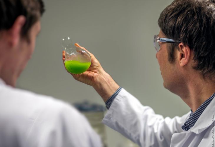 recherche oncopole