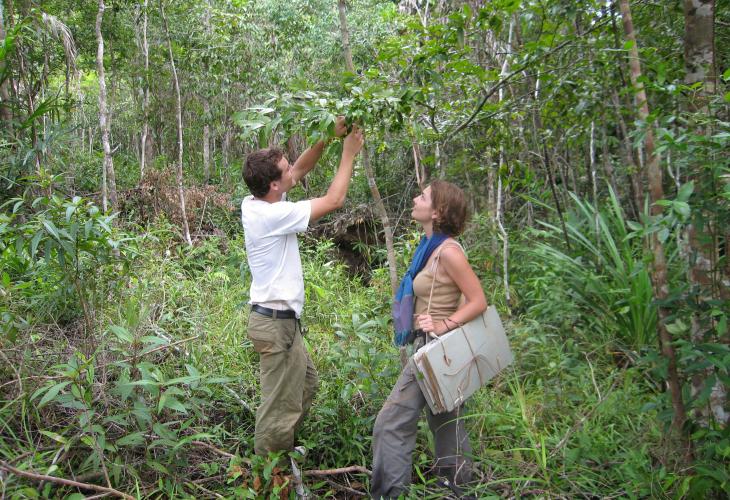 2 botanistes dans la jungle