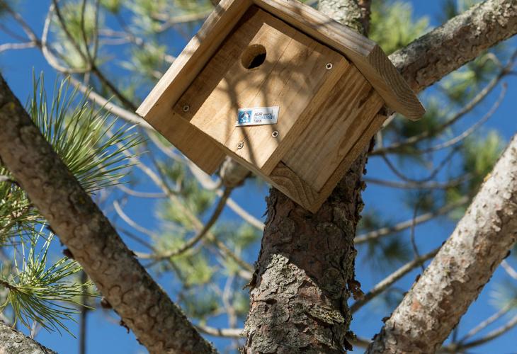 nichoir LPO dans un arbre