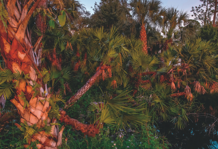 paysage soleil couchant