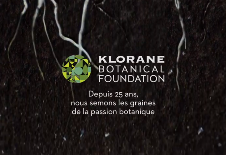 KBF video