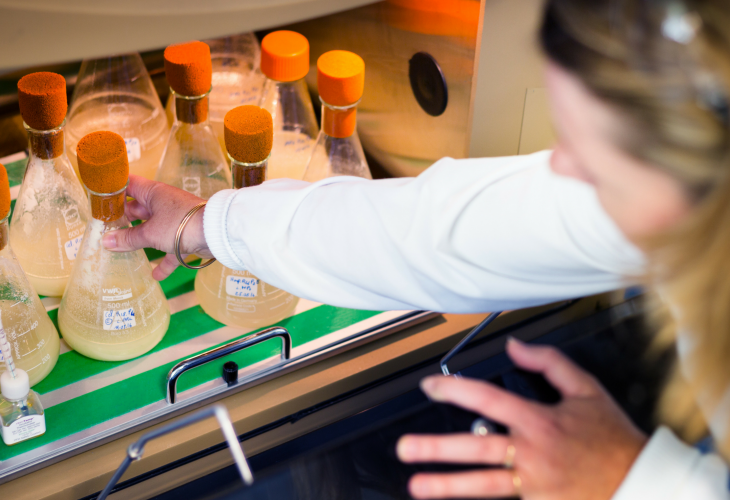 gaillac chercheur et fiole dans laboratoire