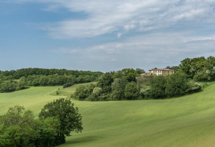 bastide au milieu des champs d'avoine